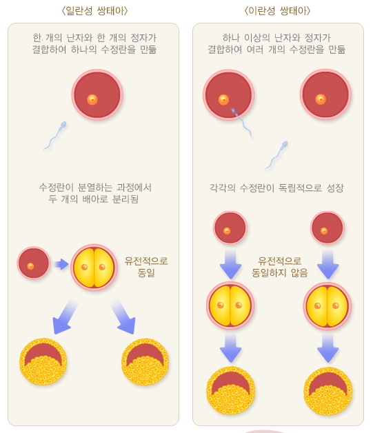 아기집 초음파 사진입니다. 일란성 쌍둥이일까요, 이란성 쌍둥이일까요? > 여성의원산부인과 전문의 컬럼 | 남양주산부인과전문의 …” style=”width:100%” title=”아기집 초음파 사진입니다. 일란성 쌍둥이일까요, 이란성 쌍둥이일까요? > 여성의원산부인과 전문의 컬럼 | 남양주산부인과전문의 …” loading=”lazy”><figcaption>아기집 초음파 사진입니다. 일란성 쌍둥이일까요, 이란성 쌍둥이일까요? > 여성의원산부인과 전문의 컬럼 | 남양주산부인과전문의 …</figcaption></figure>
<figure><img decoding=
